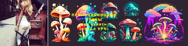 прущий лед Абаза