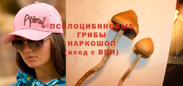 прущий лед Абаза
