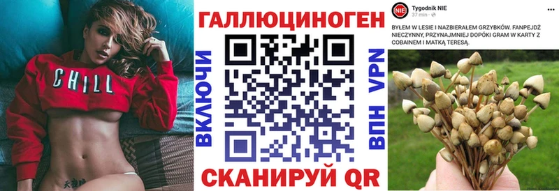 Псилоцибиновые грибы мухоморы  дарнет шоп  Дивногорск 